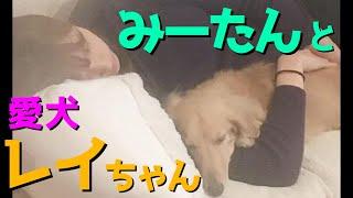 【TWICE】ミナの愛する男。愛犬「レイちゃん」【日本語字幕】