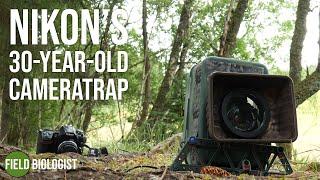 Nikon's 30-year-old DSLR camera trap (for $50) is one of the best!