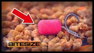 Steve Ringer's Favourite Carp Hookbait! | Guru Bitesize #055