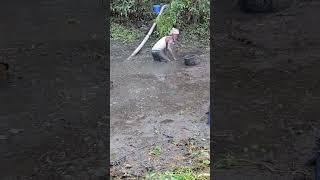 Amazing Best Fishing video  #fisherman #fishinglife #shorts #fishingtrip  #villagefishing #fishing