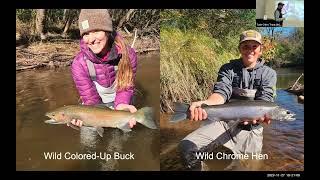 Lake Superior Migratory Trout featuring Jason Swingen