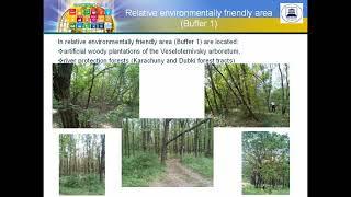 ICSF2021 #243 Woody artificial plantations as a significant factor of the sustainable development