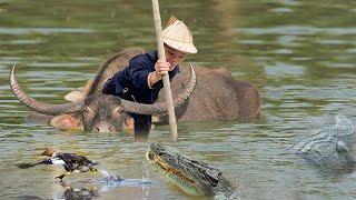 Dwarf Family vs Aggressive Crocodile: Bamboo Harvest & Garden Renovation