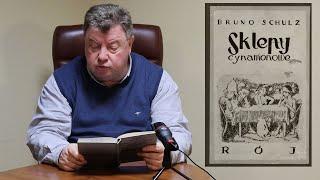 Bruno Schulz „Karakony” ze zbioru opowiadań „Sklepy cynamonowe” – Czyta: Dariusz Kot – MBP w Bytomiu