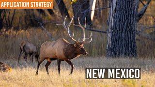 How to Apply for Non-Resident Big Game Tags in New Mexico | 2025 Application Guide