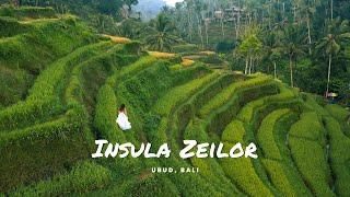 INSULA ZEILOR | Am ajuns în cel mai emblematic loc de pe insula Bali #ubud #bali