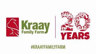 2019 Corn Maze | Celebrating 20 Years of Kraay Family Farm