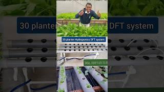 Hydroponic farming at home; start hydroponic in this winter (best season) @JSHydroponics #farming