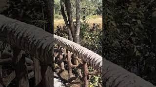 shortvideo#viralshort#youtube#short