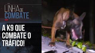 CECI, A AGENTE K9 DA POLÍCIA QUE COMBATE O TRÁFICO DE DROGAS | LINHA DE COMBATE