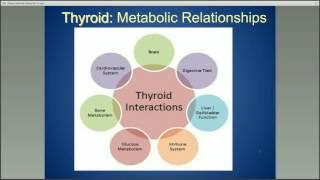 Health Studies Collegium Thyroid/Adrenal Connection