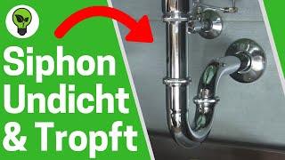 Siphon Undicht Waschbecken  TOP ANLEITUNG: Wie Dichtungen richtig Anbringen, wenn Abfluss Tropft???