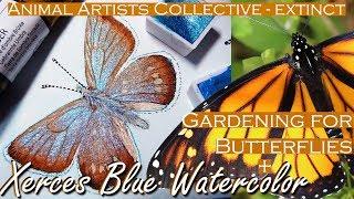 Xerces Butterfly Watercolor Painting, Saving Monarchs, Animal Artists Collective EXTINCT