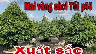  0982 747 053 gặp Bảo mai tàng thông tuyệt đẹp hàng chơi Tết p48