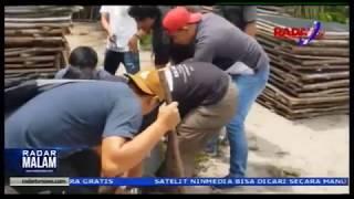 Polisi Grebek Pembunuh 2 Belantik Sapi