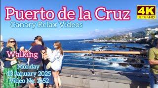 Tenerife ️ Puerto de la Cruz Walking  13 January 2025 Teneriffa