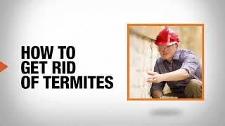 How to Get Rid of Termites | DIY Pest Control | The Home Depot