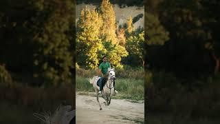 Cappadocia #cappadocia #cappadociahorses #visitcappadocia #cappadociaturkey #cappadociaphotographers