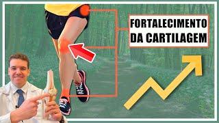 Fortalecimento da cartilagem: EXISTE???