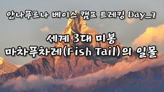 세계 3대 미봉, 마차푸차레(Fish Tail)의 일몰, ABC트레킹_Day_7            #세계3대미봉 #마차푸차레 #피시테일 #ABC트레킹