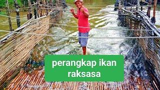 TERBUAT DARI RIBUAN BILAH BAMBU‼️PERANGKAP IKAN DI TENGAH SUNGAI@fishingrimbo3278