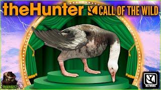Hunting On Askiy Ridge Leads To An Intermediate Morph Snow Goose! Call of the wild Early Access