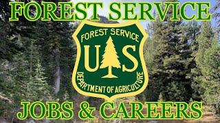 Forest Service Jobs and Careers in Conservation Explained (Structure, types of work, requirements)