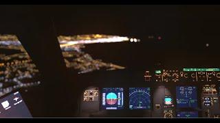 X-Plane 11 | Beautiful Night Cockpit Landing in Nice Côte d'Azur | 4K 60FPS