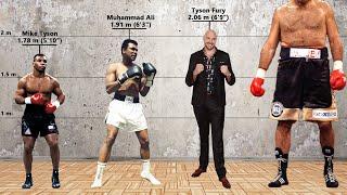 All Boxing Heavyweight Champion Size Comparison ( From 1885 to 2024)