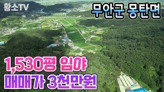 [전남임야매매] #1703 무안군 몽탄면 1,530평 접근성 좋은 임야 매매가 3천만원