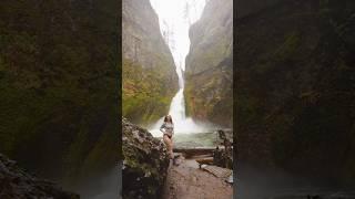 Found a waterfall deep in forest! #waterfall #youtubeshorts #beautifuldestinations #nature #outdoors