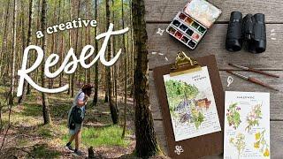 A Creative Reset in Nature  camp, hike, paint vlog | Abbey Sy