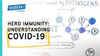 Herd Immunity: Understanding COVID-19