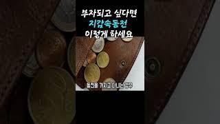 지갑에 동전 이렇게 하세요 #이것 #풍수 #절대