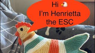 EMOTIONAL SUPPORT CHICKEN by @theknittingtree on Ravelry