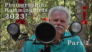 Photographin Hummingbirds 2023 - Part 2