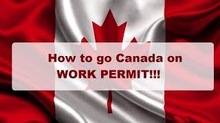 How to go Canada on Work Permit and NAFTA/ How to get Canada Work Permit