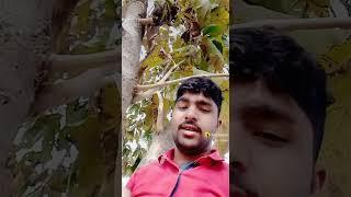 Akash yaduvanshi bhayadiha a m