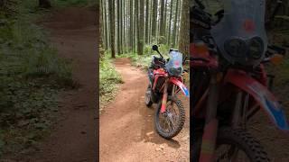 This is Why Riding Dual Sport Motorcycles is so Amazing #adv #motorcycle #dualsport