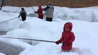 Анастасия Лисовская