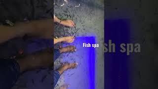 Fish spa #shorts