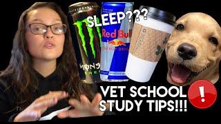 VET SCHOOL FINALS WEEK EXPOSED | VET SCHOOL STUDY TIPS