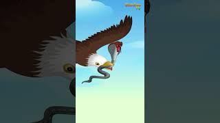 NAGIN KA BADALA - 3_    14   #kannada #shorts  #kannadakathe # #chintutvkannada