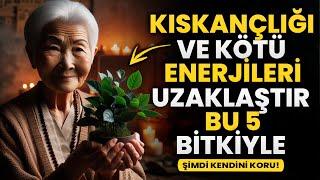 Bu 5 BİTKİYİ Dikin Kıskanclıktan ve Kötü Enerjilerden KORUNUN | Budist Öğretileri