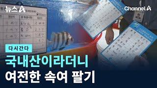 [다시 간다]국내산이라더니…여전한 속여 팔기 / 채널A / 뉴스A