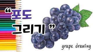 차근차근 포도를 그리는 방법 ㅣ To draw grapes step by step ㅣ Speed painting