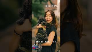 [IFULUV 이퓨럽] STREET PET-OGRAPHY 002 (스트릿 펫토그래피) #강아지산책 #강아지 #이퓨럽 #이퓨럽TV #ifuluv  #ifuluvtv