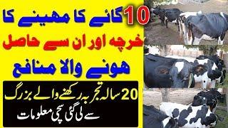 Monthly Profit of 10 Cows in Urdu | Cows Farming in Pakistan Urdu | Farming Ideas