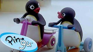 Pingu Surprises Everyone   | Pingu - Official Channel | Cartoons For Kids