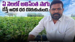 Alicentha Sagu In Telugu | Vegitable Farming | అలిసెంత సాగు ఎలా?